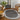 Coonamble Bordered Antrasit Outdoor Rug