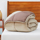 Bedroom > Comforters And Sets - Full All Seasons Beige/Brown Reversible Polyester Down Alternative Comforter