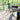 [Living Room Rug], [Custom Carpet] [Area Rug] [Washable Rug] [Rich Class Decor] 
