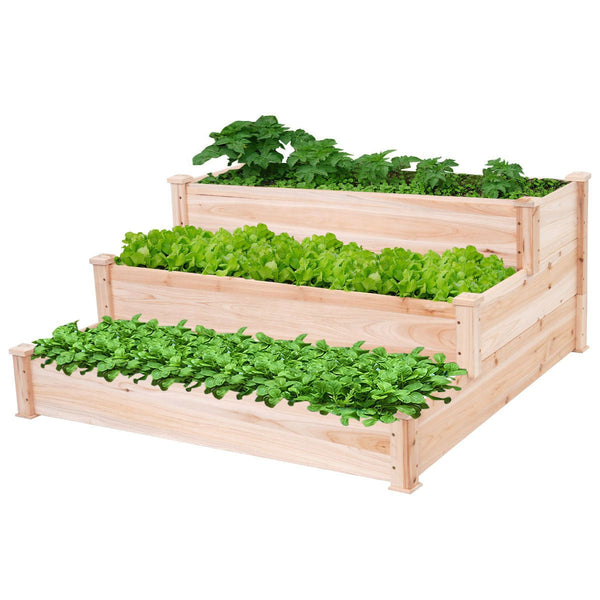 Outdoor > Gardening > Planters - Solid Wood 4 Ft X 4 Ft Raised Garden Bed Planter 3-Tier